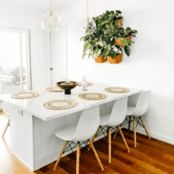 WallyGrow Eco Terracotta Wall Planter – Self-Watering Vertical Garden Kit -Eds Plant Shop wallygrow eco terracotta wall planter self watering vertical garden kit 1461050