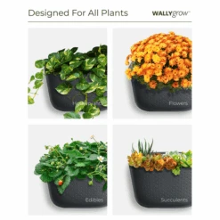 WallyGrow Eco Terracotta Wall Planter – Self-Watering Vertical Garden Kit -Eds Plant Shop wallygrow eco terracotta wall planter self watering vertical garden kit 3935100