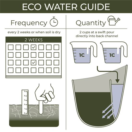 WallyGrow Eco Wall Planter – Oat Vertical Garden Planter For Modern Indoor Spaces 5 WallyGrow Eco Wall Planter – Oat Vertical Garden Planter For Modern Indoor Spaces - Image 3