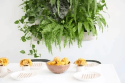 WallyGrow Eco Wall Planter – Oat Vertical Garden Planter For Modern Indoor Spaces 15 WallyGrow Eco Wall Planter – Oat Vertical Garden Planter For Modern Indoor Spaces -Eds Plant Shop wallygrow eco wall planter oat vertical garden planter for modern indoor spaces 775448