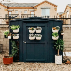 WallyGrow Eco Wall Planter – Oat Vertical Garden Planter For Modern Indoor Spaces 14 WallyGrow Eco Wall Planter – Oat Vertical Garden Planter For Modern Indoor Spaces -Eds Plant Shop wallygrow eco wall planter oat vertical garden planter for modern indoor spaces 926342