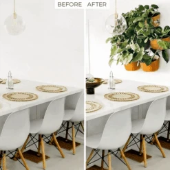 WallyGrow Eco Wall Planter – Rose Vertical Garden Planter 13 WallyGrow Eco Wall Planter – Rose Vertical Garden Planter -Eds Plant Shop wallygrow eco wall planter rose vertical garden planter 7608863