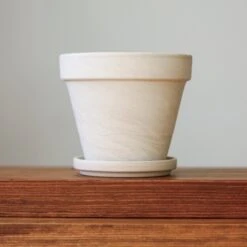 White Terracotta Planter Pot With Water Saucer -Eds Plant Shop white terracotta planter pot with water saucer various sizes 867065