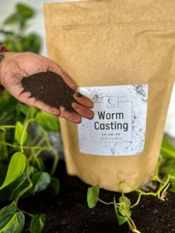 Premium Organic Worm Castings – Nutrient-Rich Soil Booster -Eds Plant Shop worm castings 594459