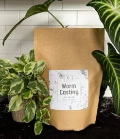 Premium Organic Worm Castings – Nutrient-Rich Soil Booster -Eds Plant Shop worm castings 858860