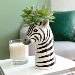 Zebra Vase 17 Zebra Vase -Eds Plant Shop zebra vase 9535034